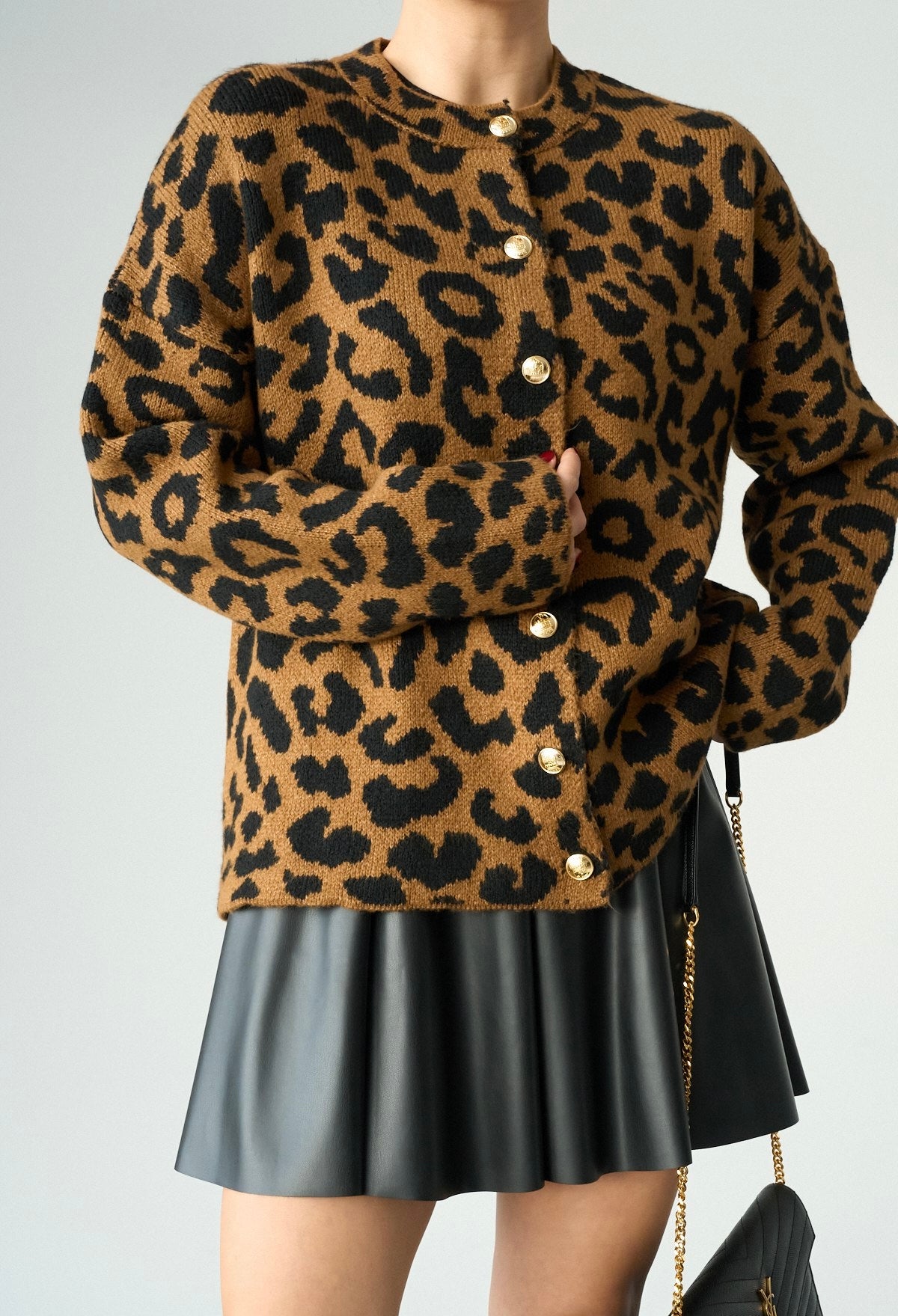 קרדיגן גילי מנומר