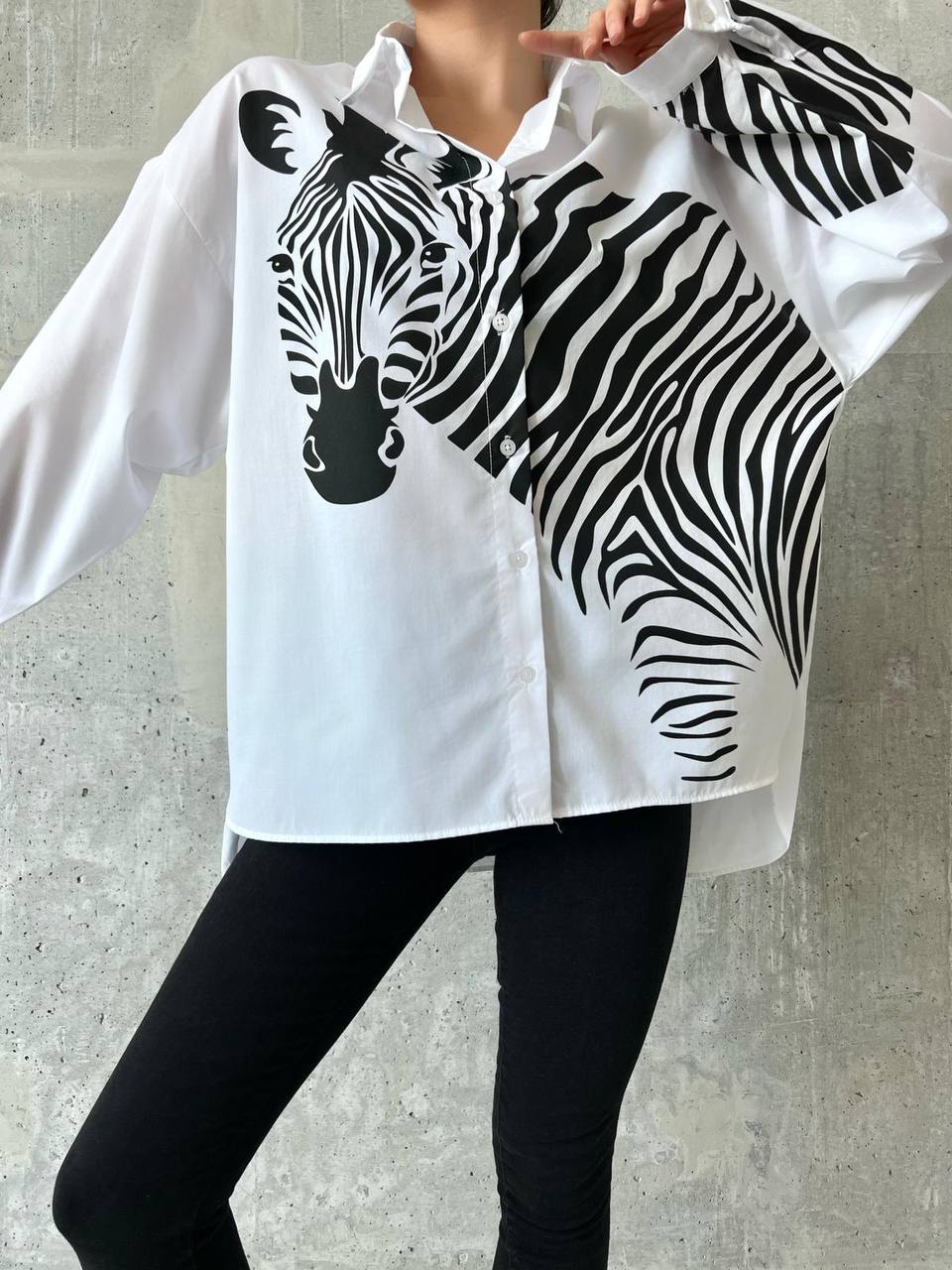 מכופתרת זברה